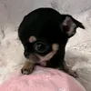 uhhho2