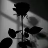 nia_agustina178