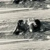 bauer..10