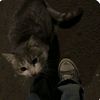 1057746817322tiktok