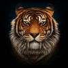 lion160