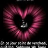 user54565628633835