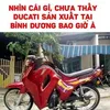 nguynminh881