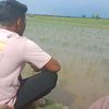 aman.jaya213