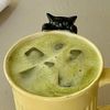 matcha_cat11