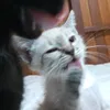 mabinhaaa