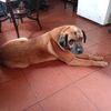 claudiomalday