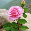 user3194087319934