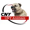cnykangal