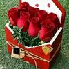 user3438154407026