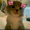 bilaa_foru