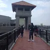 jlcparadiseviewtv