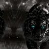 mohamett_maame