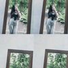 ysmn.fziaaa