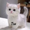 nnnnn_nnzz