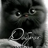 user812248374933