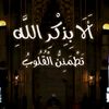 .user2534411
