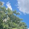 far_0940