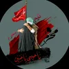 mohammedhassan8429