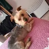 jennyvinatoru6