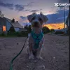 lucy_jest_cool