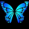 porn.butterfly