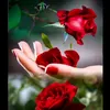 user5565111881879