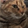 momo_11760