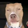 tymooff
