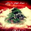 hana.awada7
