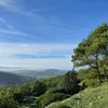 adaziouziou