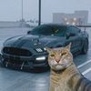 nico_senna_jdm