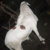 user769181616007