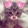 princessamelia4ever