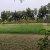 ashik1440