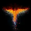 _fenix_k7