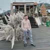 gara.t.v.linh