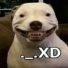12packdetecatexd