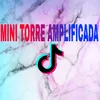 mini_torre_anplificada