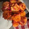 daisyflower1431
