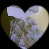user9153163357028