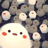 .qinwang_