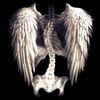 _vampyrcybr