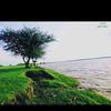 fakhry.mahmoud