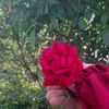 user2307987611205