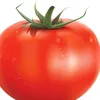 zalypka68