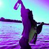 org_alk_sea_sun_rep_eat