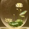 thutrang_reader