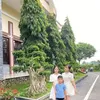 .uyn8242
