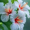 user3010119810301